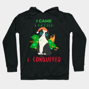 I CAME I CATTED I CONQUERED Hoodie